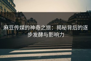 麻豆传媒的神奇之旅：揭秘背后的逐步发酵与影响力