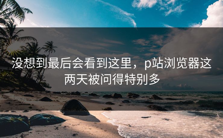 没想到最后会看到这里,p站浏览器这两天被问得特别多 没想到最后会看到这里,p站浏览器这两天被问得特别多